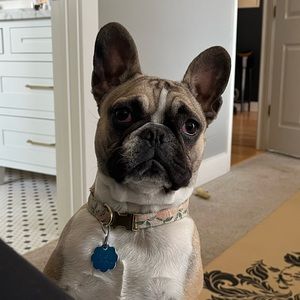 Meet your Posher, Kennedy